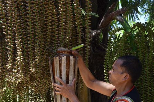 Khơi lại men rượu tà vạc