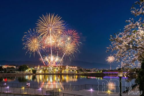 Bắn pháo hoa 15 phút tại Lễ hội Hoa Ban 2026