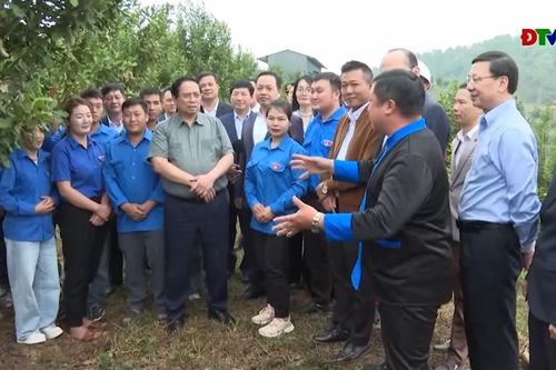 Thủ tướng Chính phủ Phạm Minh Chính thăm mô hình trồng mắc ca tại bản Huổi Tao B, xã Pu Nhi
