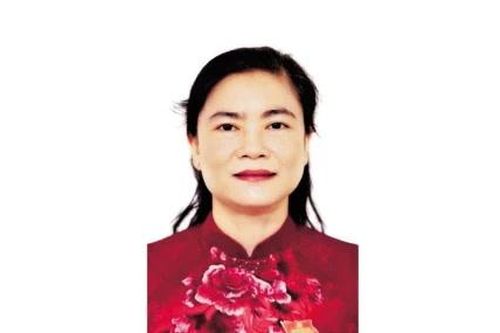 ỨNG CỬ VIÊN ĐẠI BIỂU QUỐC HỘI KHÓA XVI ĐƠN VỊ BẦU CỬ SỐ 2 ĐỖ THỊ THU THẢO