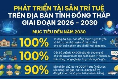 Phát triển tài sản trí tuệ trên địa bàn tỉnh Đồng Tháp giai đoạn 2026 - 2030