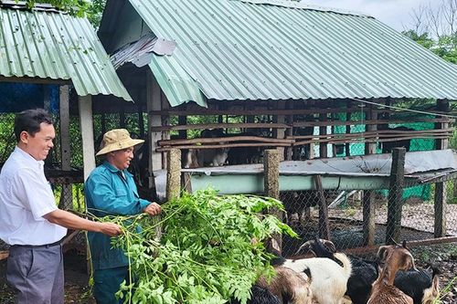 Gia Lai phát huy vai trò tổ chức Đảng trong vùng dân tộc thiểu số