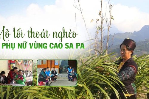 Mở lối thoát nghèo cho phụ nữ vùng cao Sa Pa