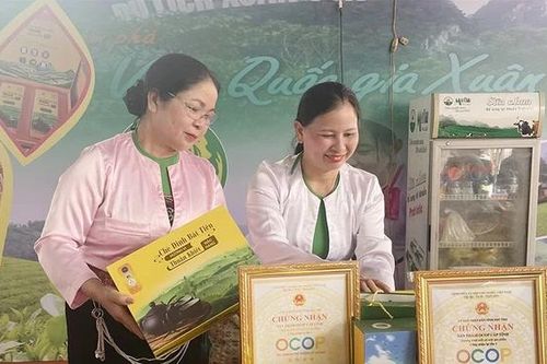 Dấu ấn phụ nữ trong phát triển kinh tế tập thể