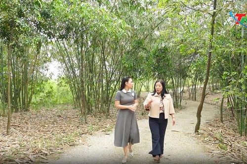 Câu chuyện khoa học và đam mê: GS.TS Trần Thị Thu Hà