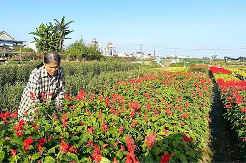 Tiếp sức giúp phụ nữ vươn lên