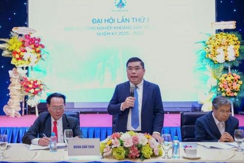 Từ thương trường đến nghị trường: Tầm nhìn mới cho quản trị quốc gia