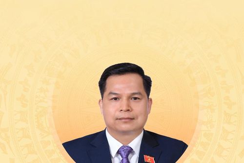 Tiểu sử tóm tắt và chương trình hành động của người ứng cử đại biểu Hội đồng nhân dân tỉnh Cao Bằng khóa XVIII Bế Minh Đức
