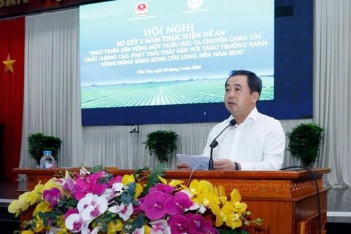 Đề án một triệu ha lúa chất lượng cao vượt 197% mục tiêu giai đoạn đầu