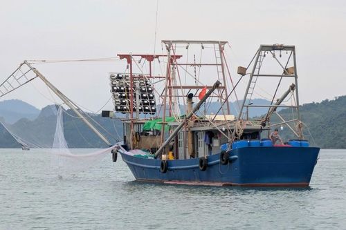Doanh nghiệp thủy sản kinh doanh ra sao trong đầu năm 2026