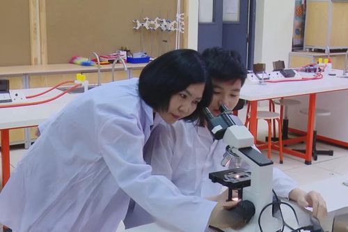 Mở trường chuyên từ THCS để tạo nguồn nhân lực chất lượng cao