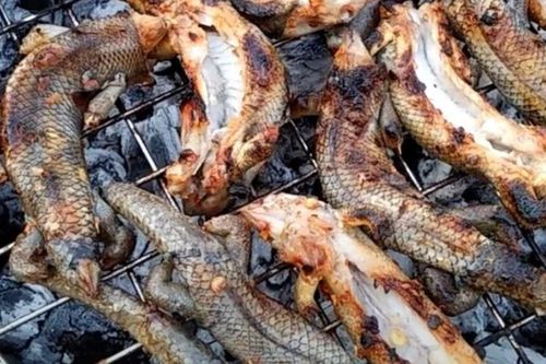 Con vật nhỏ xíu ở miền Tây, nhiều người thấy là 'khóc thét' nhưng lên bàn nhậu lại 'cháy hàng'
