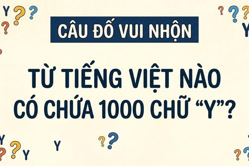 Từ tiếng Việt nào chứa 1000 chữ 'Y'?
