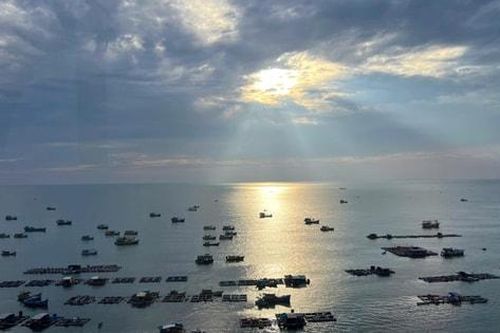 'Quần long hội tụ' đón bình minh mới ở Phú Quốc