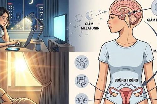 Thức đêm làm việc có thể phá vỡ nội tiết nữ ra sao?