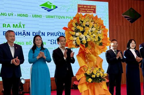 Đà Nẵng: Đưa 'mắt thần Đông Dương', ngọn hải đăng cổ vào biểu trưng Sơn Trà