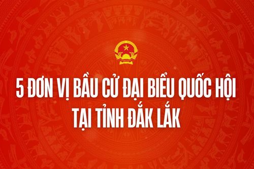 Infographic: 5 đơn vị bầu cử đại biểu Quốc hội tại tỉnh Đắk Lắk