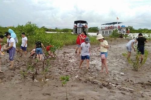 Phê duyệt đề án du lịch sinh thái 464 tỉ đồng tại Vườn quốc gia Xuân Thủy