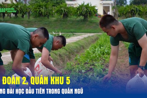 Sư đoàn 2, Quân khu 5: Những bài học đầu tiên trong quân ngũ