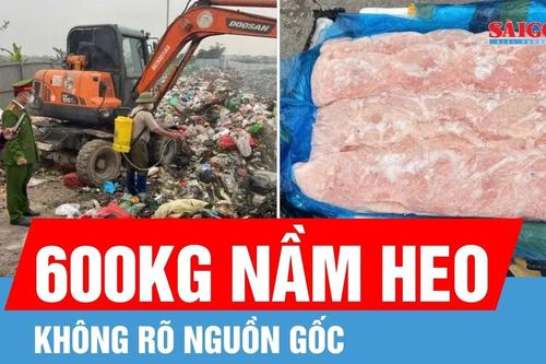 Thu giữ 600kg nầm heo đông lạnh không rõ nguồn gốc