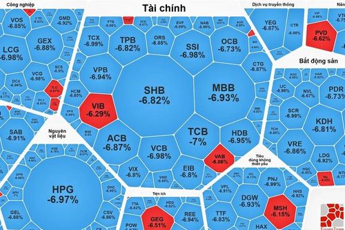 Phiên giảm điểm mạnh nhất lịch sử, VN-Index 'bốc hơi' hơn 115 điểm