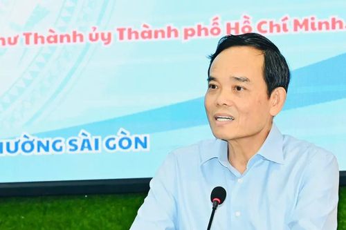 Bí thư Thành ủy TPHCM Trần Lưu Quang làm Trưởng Tiểu ban An ninh mạng TPHCM