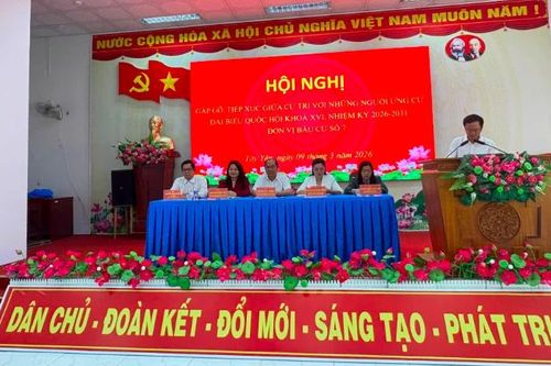 Bà Nguyễn Quỳnh Liên: 'Quyết liệt hành động để không còn khoảng cách giữa cử tri và nghị trường'