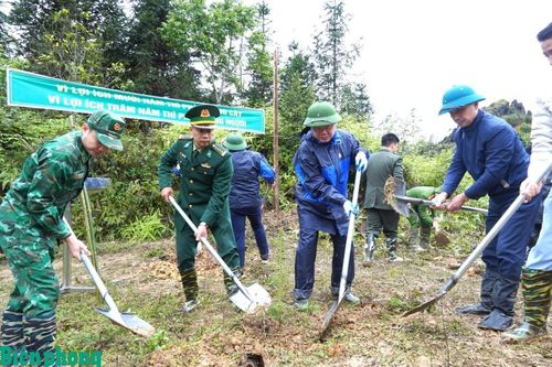 Trồng hơn 3.000 cây xanh gây dựng 'Vành đai xanh biên giới' tại xã biên giới Sơn Vĩ