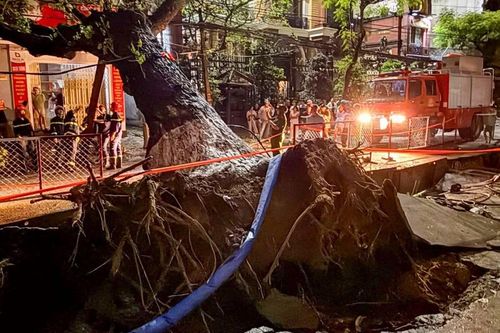 Đà Nẵng: Cây lớn bật gốc đổ ngang đường, gây mất điện nhiều hộ dân
