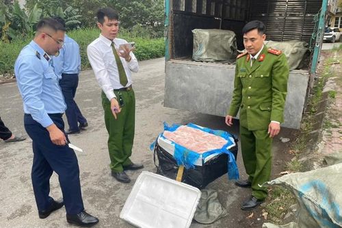 Thu giữ 600kg nầm lợn đông lạnh ôi thiu, không rõ nguồn gốc
