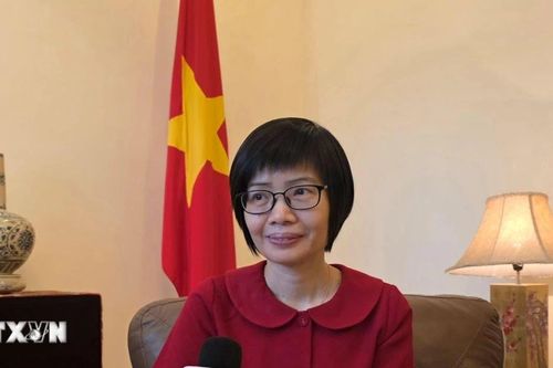 Việt Nam góp tiếng nói thanh niên cho sáng kiến Thế hệ tiếp nối AFF 2026