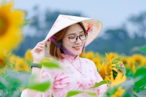 Mê mẩn vườn hoa hướng dương trên quê hương Bác Hồ 'hút' giới trẻ check-in