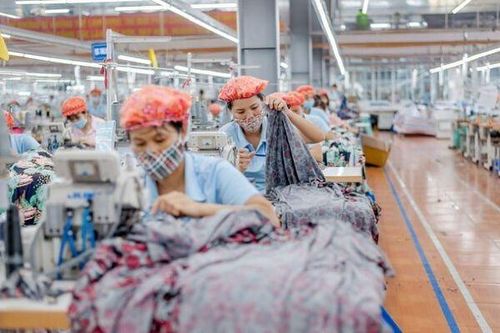 May Sông Hồng lên kế hoạch lãi 900 tỷ đồng năm 2026