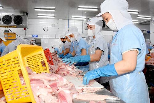 Mở rộng thị trường, giữ nhịp xuất khẩu thủy sản