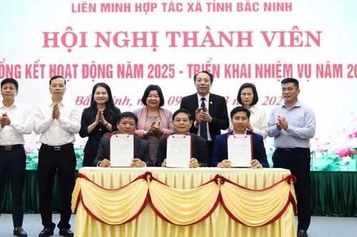 Đẩy mạnh chuyển đổi số, nâng cao hiệu quả hoạt động hợp tác xã