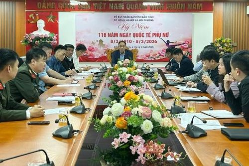 Bắc Ninh: Thống nhất nội dung Kế hoạch tổ chức Ngày hội người cao tuổi trồng cây cấp Trung ương