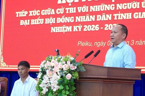 Các ứng cử viên đại biểu HĐND tỉnh Gia Lai tiếp xúc cử tri phường Pleiku