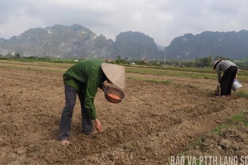 Vân Nham: Rộn ràng ra quân đầu xuân