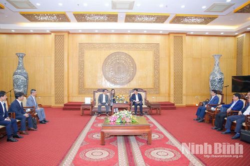 Đồng chí Bí thư Tỉnh ủy Trần Huy Tuấn tiếp và làm việc với nhà đầu tư Nhật Bản