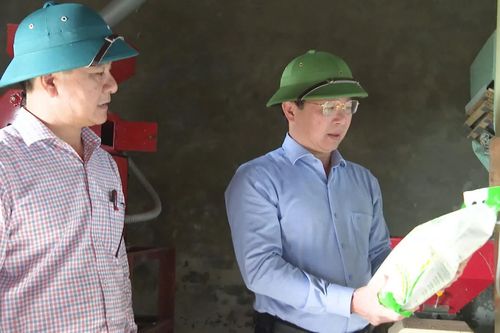 Gạo sạch Vĩnh Tuy