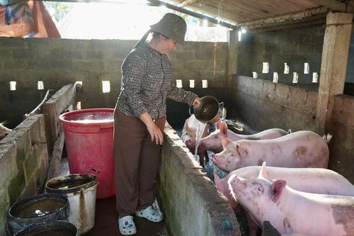 Phụ nữ Tân Mỹ giúp nhau phát triển kinh tế, giảm nghèo bền vững