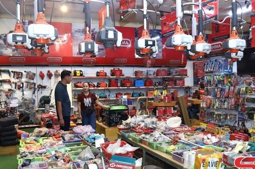 Đảm bảo cung ứng giống, vật tư phục vụ sản xuất nông nghiệp