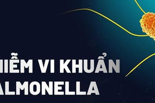 Vi khuẩn Salmonella là gì, vì sao hay có trong bánh mì?