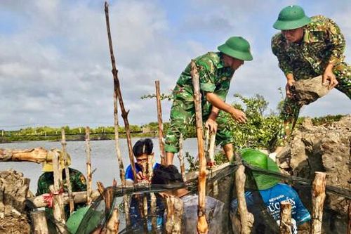 Bộ đội biên phòng kịp thời giúp dân khắc phục sự cố vỡ bờ bao vuông tôm