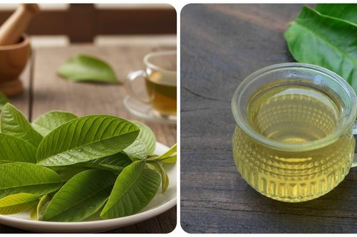 Uống nước lá ổi hàng ngày có tác dụng gì?