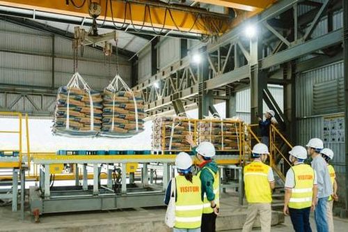 Xi măng Sông Gianh đặt mục tiêu giảm 23% CO₂ đến năm 2030