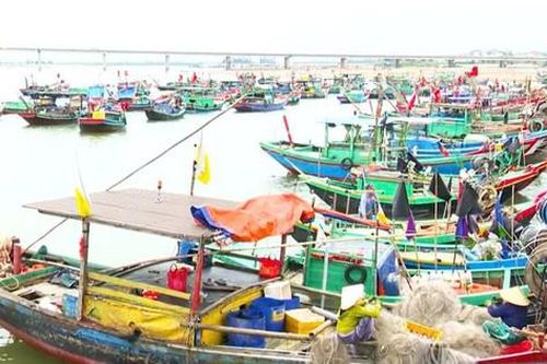 Rút ngắn chuyến biển, ngư dân Hà Tĩnh háo hức chờ ngày bỏ phiếu