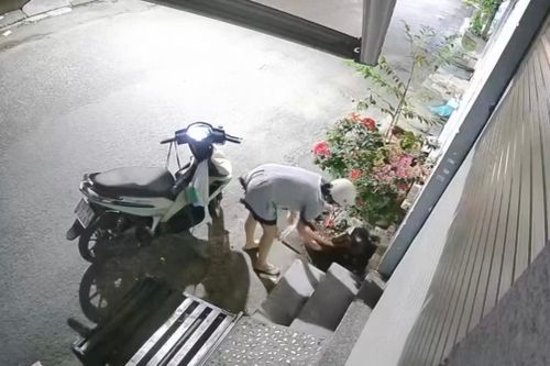 Thót tim cảnh chủ truy đuổi kẻ trộm mèo ở Đồng Nai