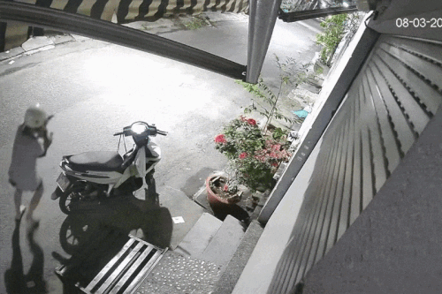 Cảnh 'bắt quả tang' người phụ nữ trộm mèo trước cửa nhà gây phẫn nộ