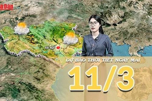 Dự báo thời tiết đêm nay và ngày mai 10/3/2026: Miền Bắc rét về đêm và sáng, miền Trung mưa giảm nhanh